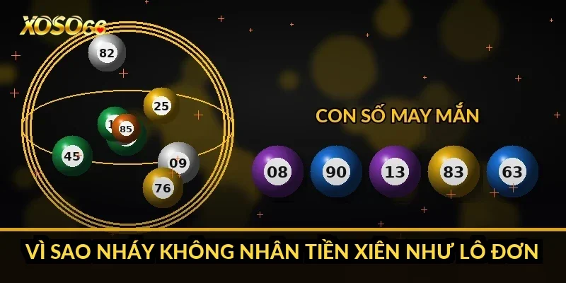 Cách tính tiền lô xiên Xoso66 qua sổ 90 vé tôi ghi từng kỳ 2 Vì sao nháy không nhân tiền xiên như lô đơn